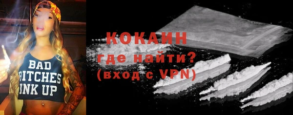 ГАЛЛЮЦИНОГЕННЫЕ ГРИБЫ Белокуриха