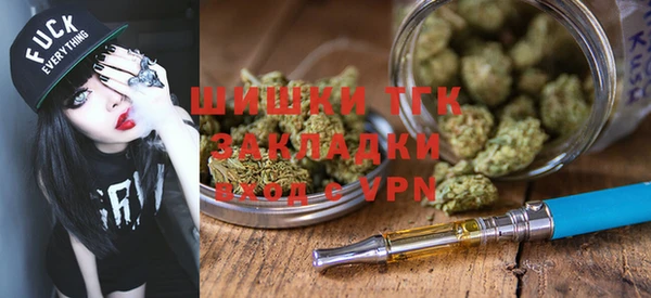 ГАЛЛЮЦИНОГЕННЫЕ ГРИБЫ Белокуриха