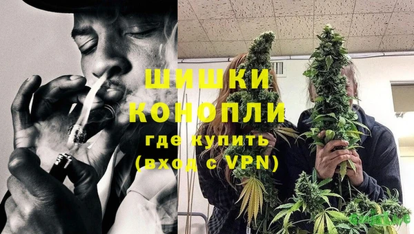 ГАЛЛЮЦИНОГЕННЫЕ ГРИБЫ Белокуриха