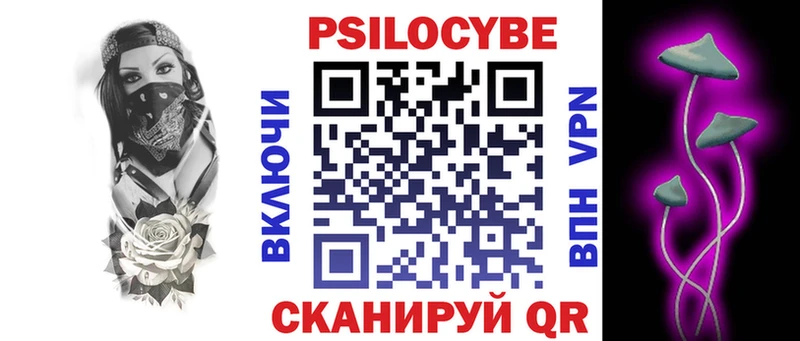 купить закладку Бирюсинск Псилоцибиновые грибы Psilocybe